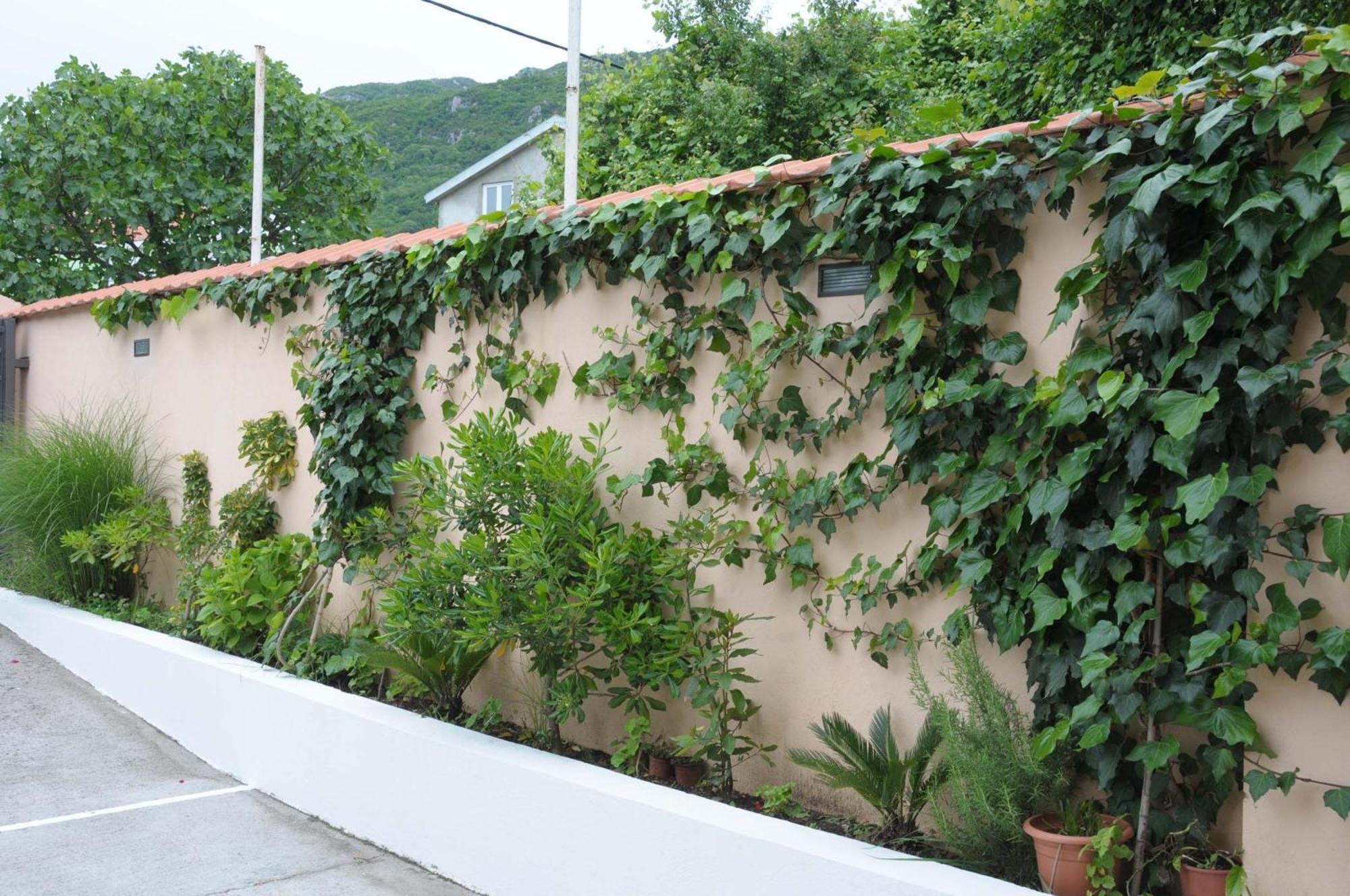 Apartments Royal Budva Extérieur photo